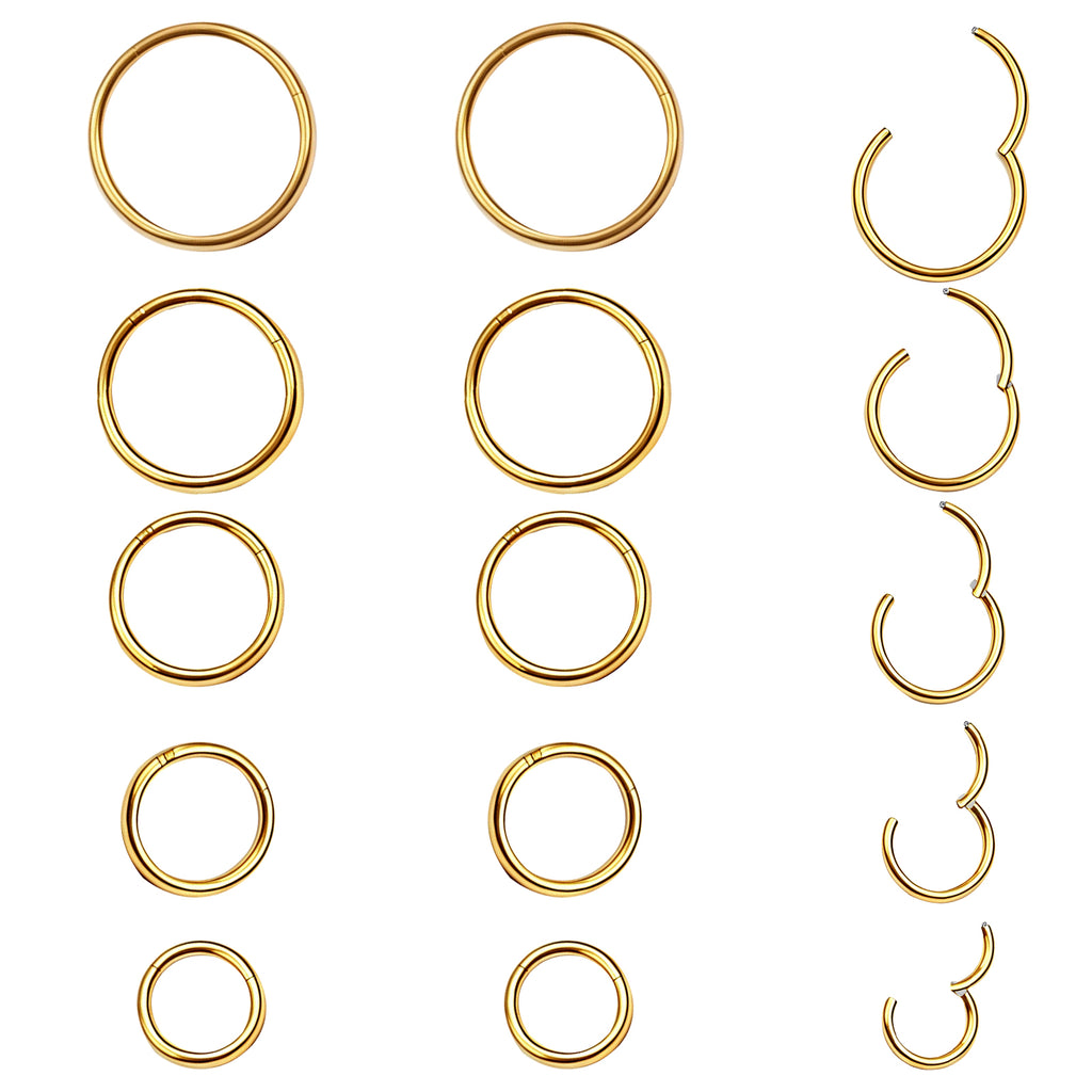 10Pcs 16G Stainless Steel Hinged Lip Ring Nose Hoops Studs Segment Septum Cartilage Tragus Piercing Jewelry for Women Men, 8mm/10mm/12mm/14mm/16mm
